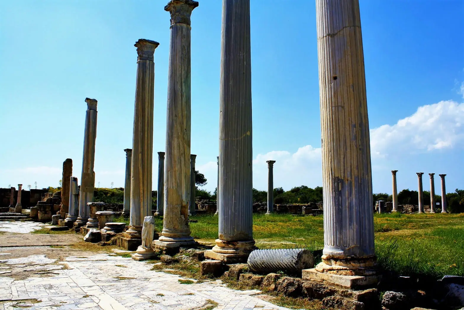 Salamis
